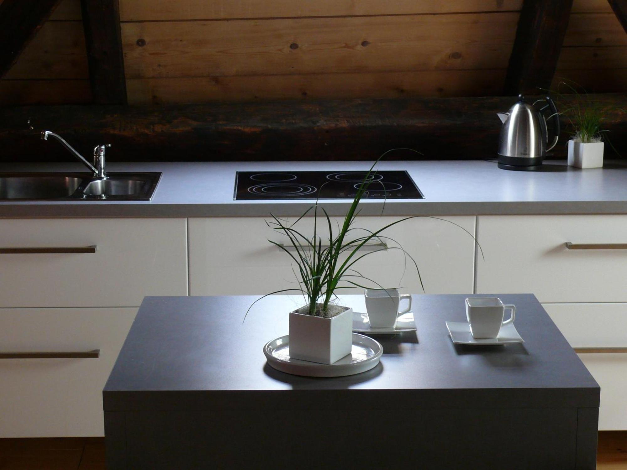 Apartment Soukenicka 44 Český Krumlov Dış mekan fotoğraf