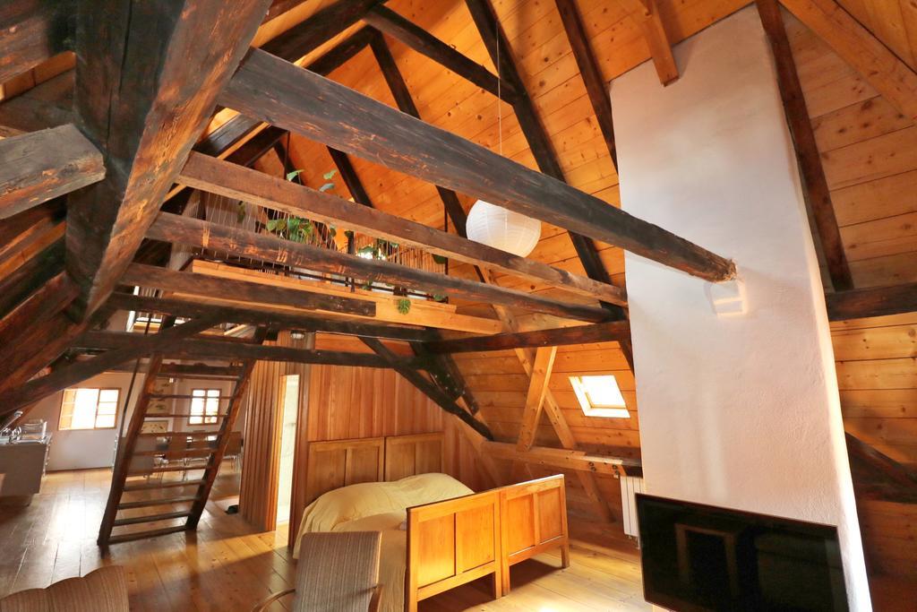 Apartment Soukenicka 44 Český Krumlov Dış mekan fotoğraf